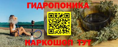 стаф Кунгур