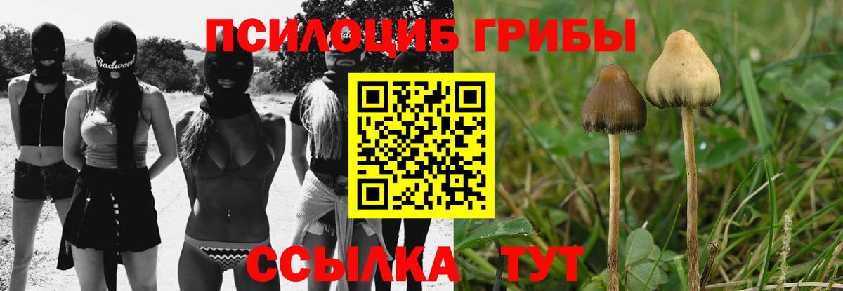 что такое наркотик  Псилоцибиновые грибы MAGIC MUSHROOMS  Вход с VPN  Ишим 